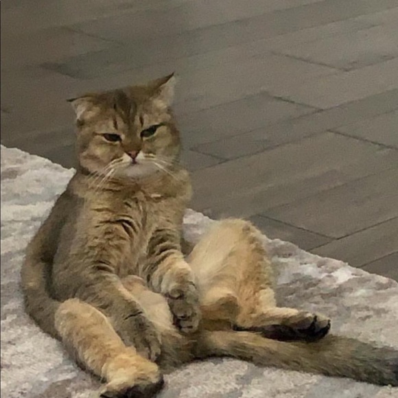 Meet your Posher, Bethany - Picture 1 of 1